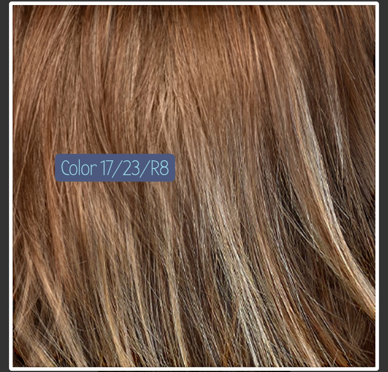 TressAllure Picture Perfect! Color 17/23/R8
